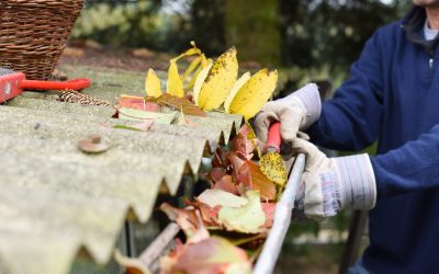 Gutter Cleaning